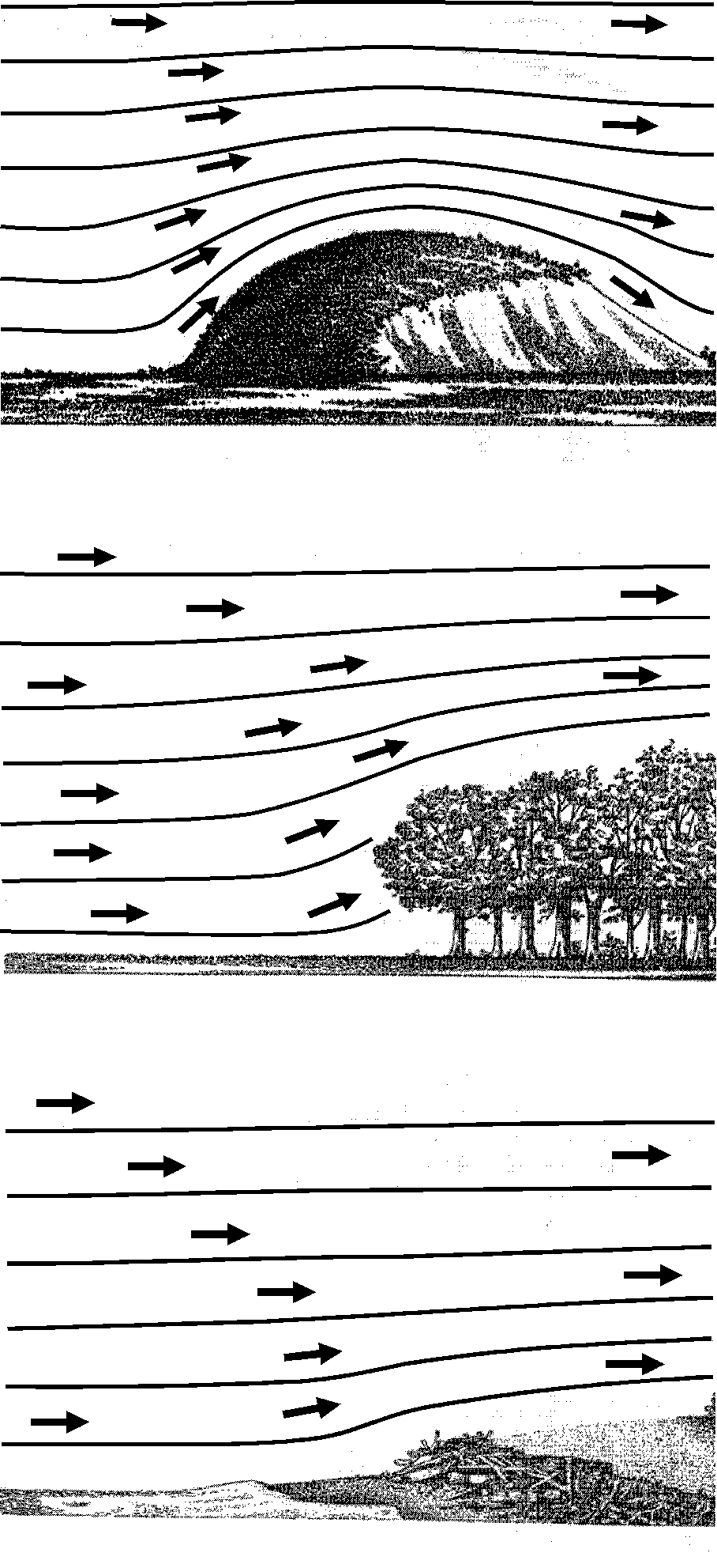 Flow of stable air over a hill, stand of trees, low beach